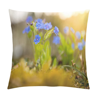 Personality  Blue Forget Me Not And Colourful Wildflowers In Spring Pillow Covers