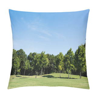 Personality  Trees With Green Leaves On Green Grass Against Blue Sky In Park Pillow Covers