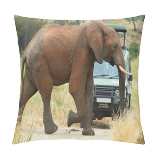 Personality  Elephant And Car Pillow Covers