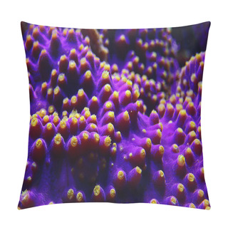 Personality  Lakers Scroll Coral - Turbinaria Sp. Pillow Covers