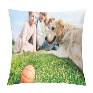Personality  Family With Dog In Park Pillow Covers