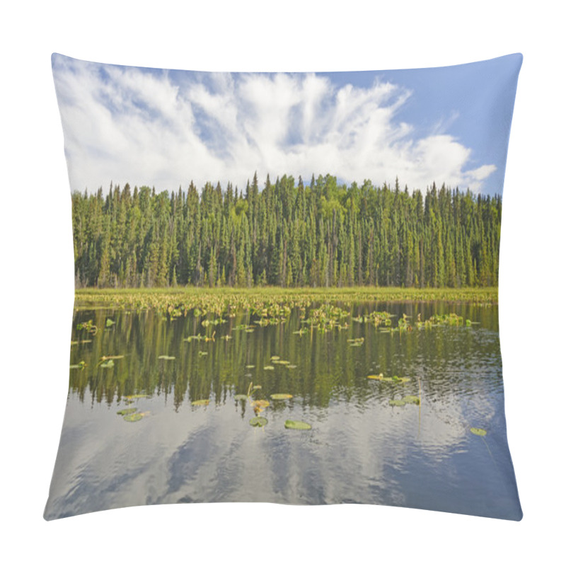 Personality  Sunny Reflections On A Wilderness Lake Pillow Covers