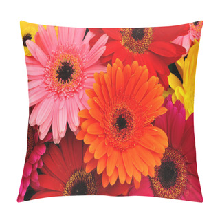 Personality  Gerbera Daisies Pillow Covers