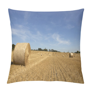 Personality  Golden Fields Pillow Covers