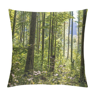 Personality  Forest Of Deciduous Trees Pillow Covers