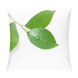 Personality  Leaf And Water Drop On The White Background Pillow Covers