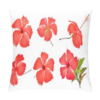 Personality  Set Of Red Hibiscus Or Chaba Flower Isolated On White Background Pillow Covers