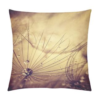 Personality  Dandelion Flowers Background Pillow Covers