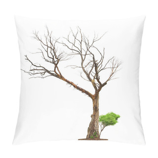 Personality  Old Tree On White Background.Concept Death And Life Revival. Pillow Covers