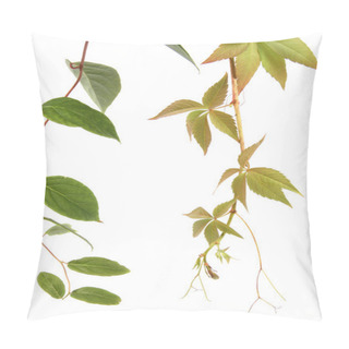 Personality  Two Kind Of Creeper Plants Pillow Covers