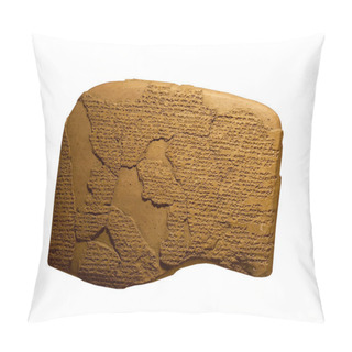 Personality  Ancient Cuneiform Writing On Clay Tablets Pillow Covers