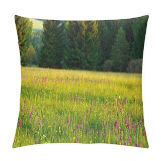 Personality  Morning Meadow With Wild Flowers Pillow Covers