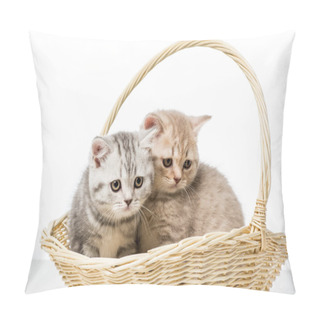 Personality  Adorable Fluffy Kittens Sitting In Wicker Basket Isolated On White   Pillow Covers