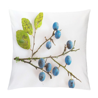Personality  Blackthorn With Ripe Blue Berries / Prunus Spinosa Pillow Covers