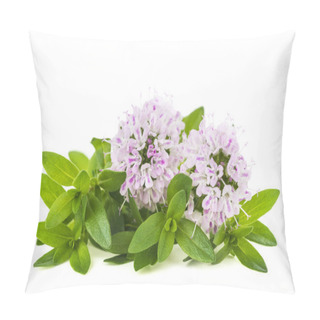 Personality   Thyme Flowers Isolated On White Background Pillow Covers