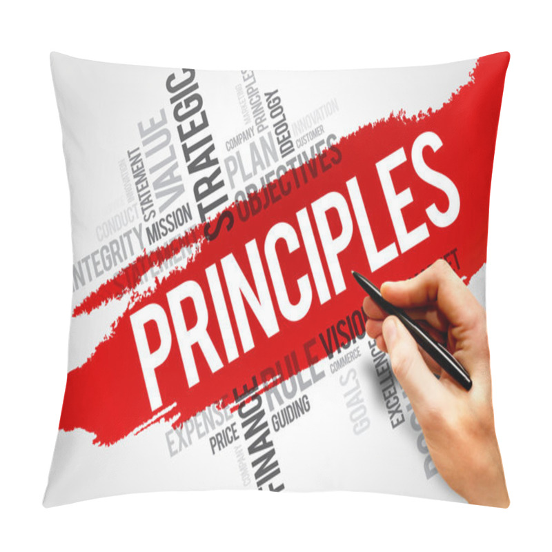 Personality  Principles pillow covers