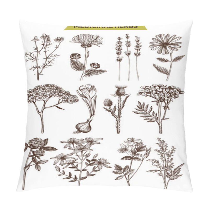 Personality  Collection of hand drawn spices and herbs pillow covers