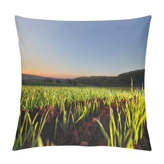 Personality  Green Field And Beautiful Blue Sky Pillow Covers
