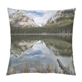 Personality  Buller Pond Reflections Pillow Covers