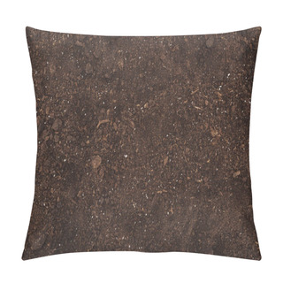 Personality  Top View Of Ground, Protecting Nature Concept  Pillow Covers