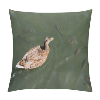 Personality  High Angle View Of Duck And Flock Of Fishes Swimming In Lake  Pillow Covers