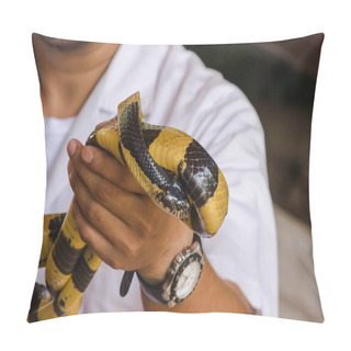 Personality  Malayan Krait Is On A Man's Hand. A Snake With Black And White Stripes Along The Body Length. Pillow Covers