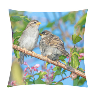 Personality  Closeup Of A Sparrow Sitting On The Twig Of A Bush Pillow Covers