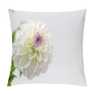Personality  White Dahlia In A Vase On A Dark Background Pillow Covers