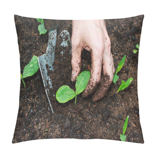Personality Young Plants Growing Pillow Covers