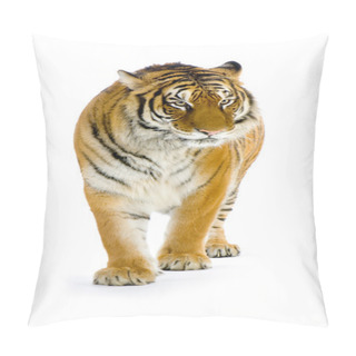 Personality  Tiger Isolated Pillow Covers