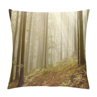 Personality  Beech Forest In The Fog Pillow Covers