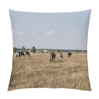 Personality  Distant View Of Cows Grazing On Meadow In Countryside  Pillow Covers