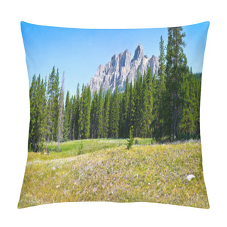 Personality  Panoramic View Of Beautiful Landscape With Field Of Flowers And Rocky Mountains In The Background In Jasper National Park, Alberta, Canada Pillow Covers