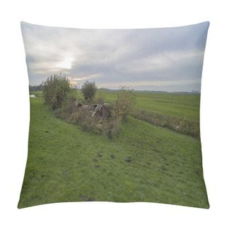 Personality  An Abandoned Shed In De Ronde Venen, The Netherlands Pillow Covers