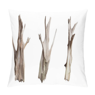 Personality  Isolate Of Beautiful Timber Set Use For Decorating In The Aquarium On White Background With Clipping Path. Pillow Covers