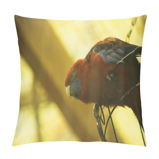 Personality  Red And Blue Parrot Sitting On Metallic Cage In Zoo Pillow Covers