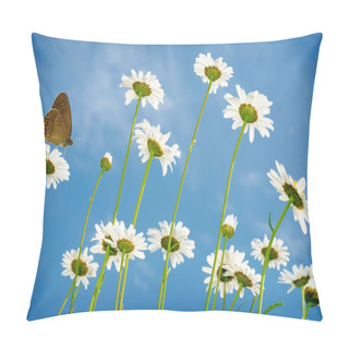 Personality  White Daisies On Blue Sky Background Pillow Covers
