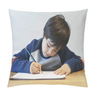 Personality  Portrait Of School Kid Boy Siting On Table Doing Homework, Happy Child Holding Pencil Writing, A Boy Drawing On White Paper At The Table,Elementary School And Homeschooling Concept Pillow Covers