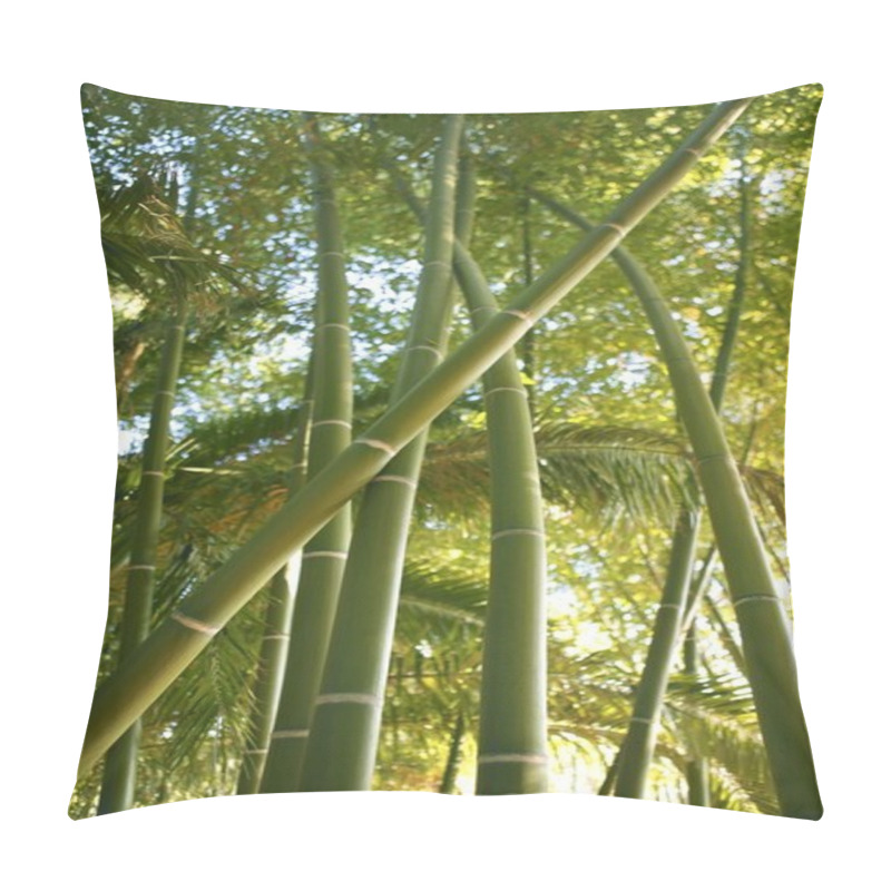 Personality  Bamboo Cane Green Plantation Pillow Covers