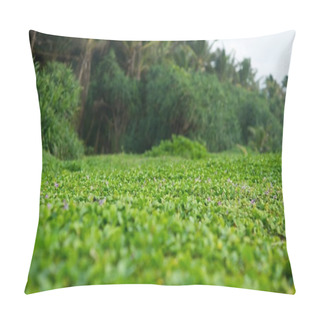 Personality  Water Plants At Rainforest Pillow Covers