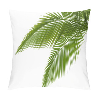 Personality  Palm Leaves Pillow Covers