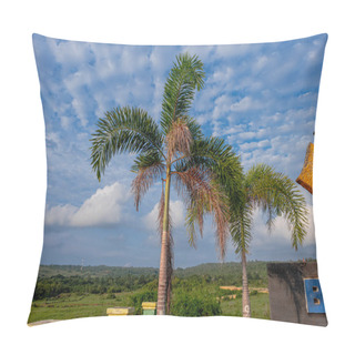 Personality  Serene Tropical Escape: Palm Trees And Rustic Charm In South Buton - A Glimpse Of Rural Beauty Amidst Tropical Flora Pillow Covers