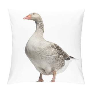 Personality  Domestic Goose, Anser Anser Domesticus, Isolated On White Pillow Covers