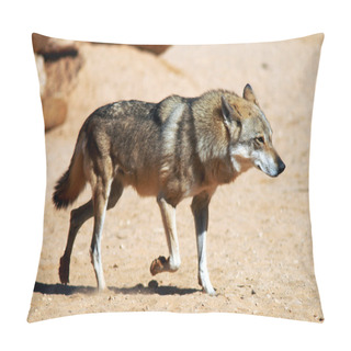 Personality  Wildlife Photos - Wolf Pillow Covers