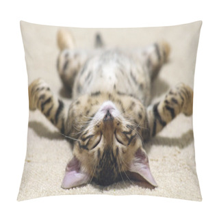 Personality  Kitten Sleeps Pillow Covers