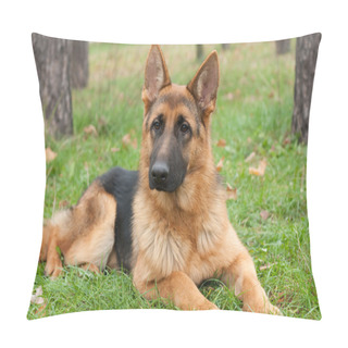 Personality  German Shepherd Dog Pillow Covers