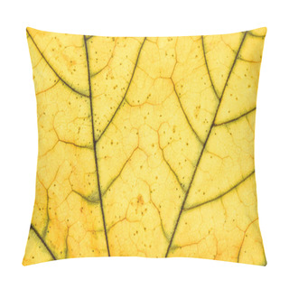 Personality  Leaf Veins Pillow Covers