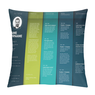 Personality  Minimalist Teal Resume Cv Template Pillow Covers