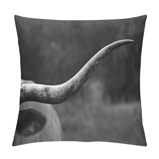 Personality  Texas Longhorn Cow In Black And White Pillow Covers