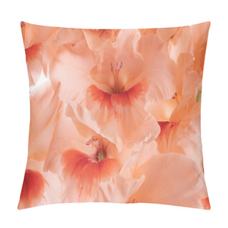 Personality  Gladiolus Pillow Covers